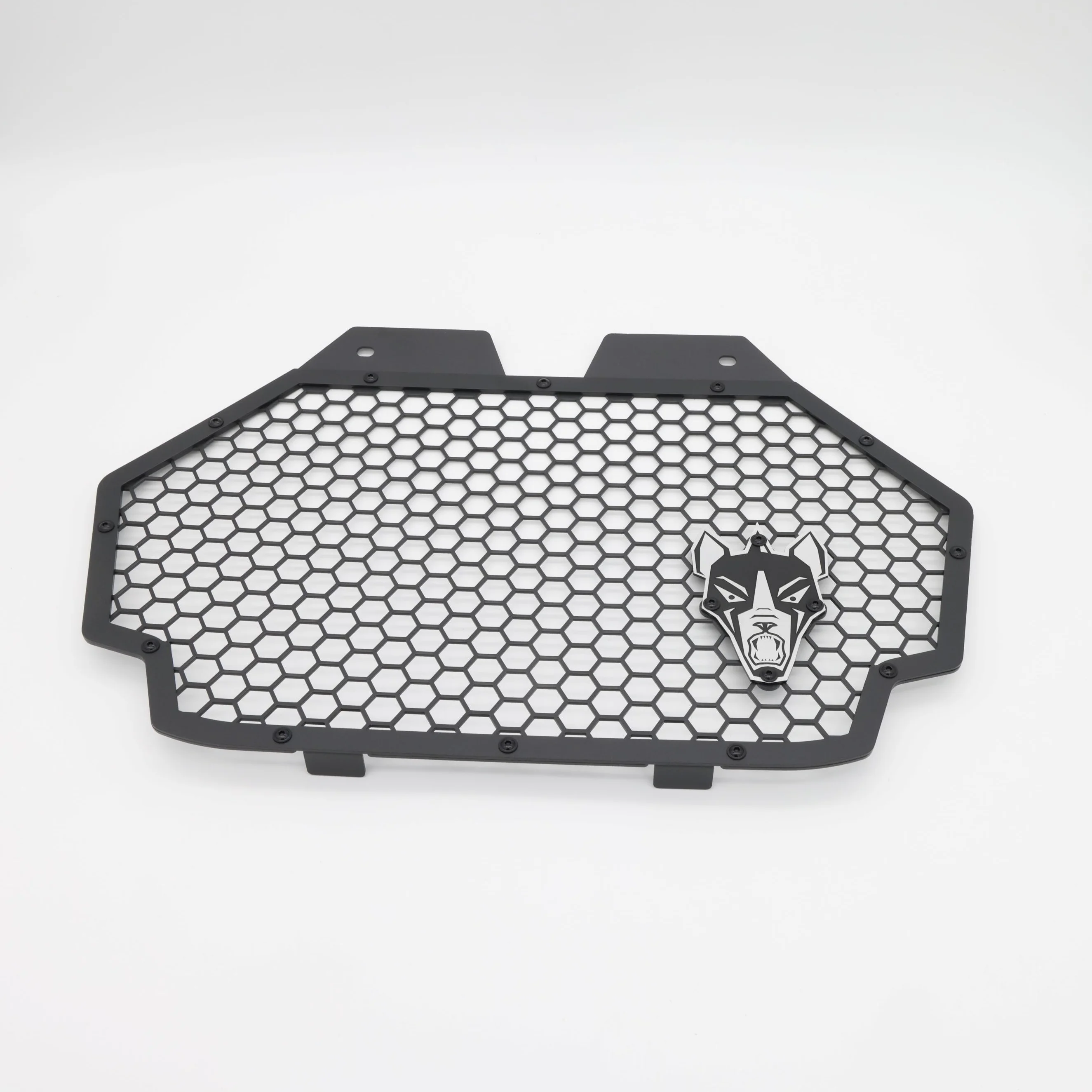 2025 PRO R GRILL