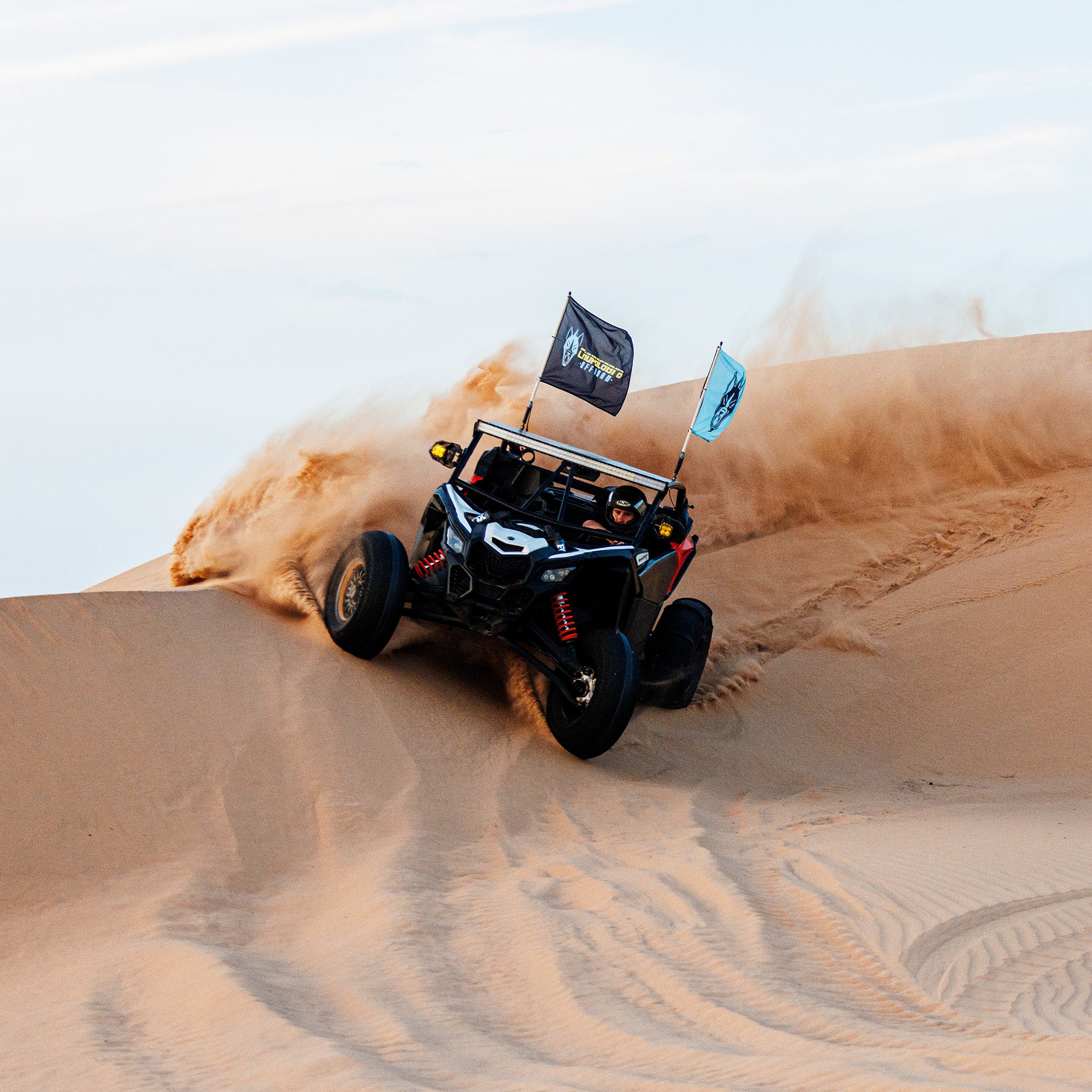 24" x 36" Chupacabra Offroad Whip Flag - Image 3